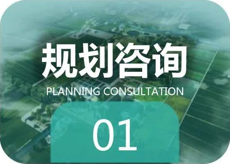 规划咨询